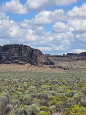 This Massive Oregon Rock Formation Looks So Much Like a Stone Fortress You’ll Think It’s a Movie Set
