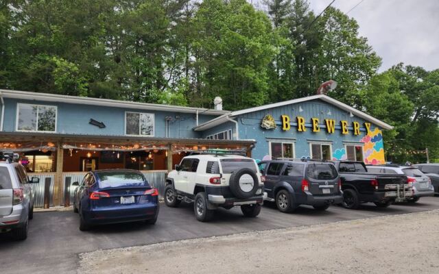 This North Carolina Vegan Fest Packs Food Trucks, Local Makers And Animal Lovers Into One Day
