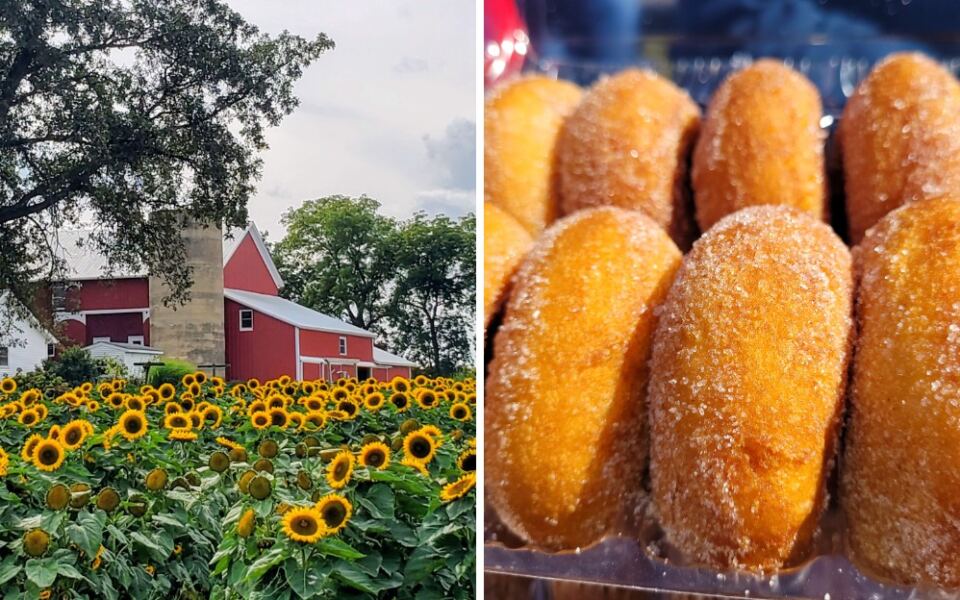 This Illinois Orchard Bakery Inside an 1880s Barn Serves Warm Cider Donuts and Homemade Apple Pie