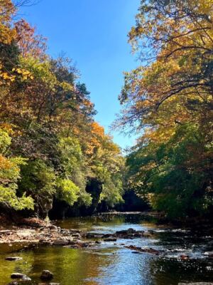 This Small-Town Illinois State Park Is So Beautiful Locals Want to Keep It to Themselves