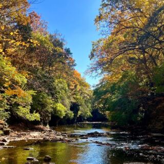 This Small-Town Illinois State Park Is So Beautiful Locals Want to Keep It to Themselves