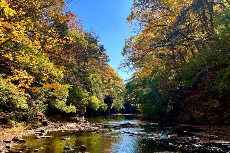 This Small-Town Illinois State Park Is So Beautiful Locals Want to Keep It to Themselves