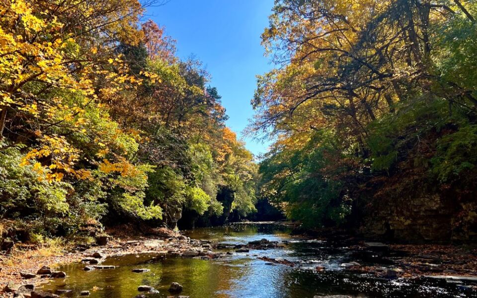 This Small-Town Illinois State Park Is So Beautiful Locals Want to Keep It to Themselves
