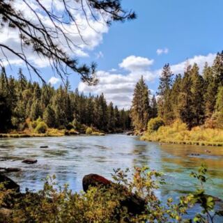 12 Reasons So Many Families Are Packing Up and Moving to Oregon Right Now
