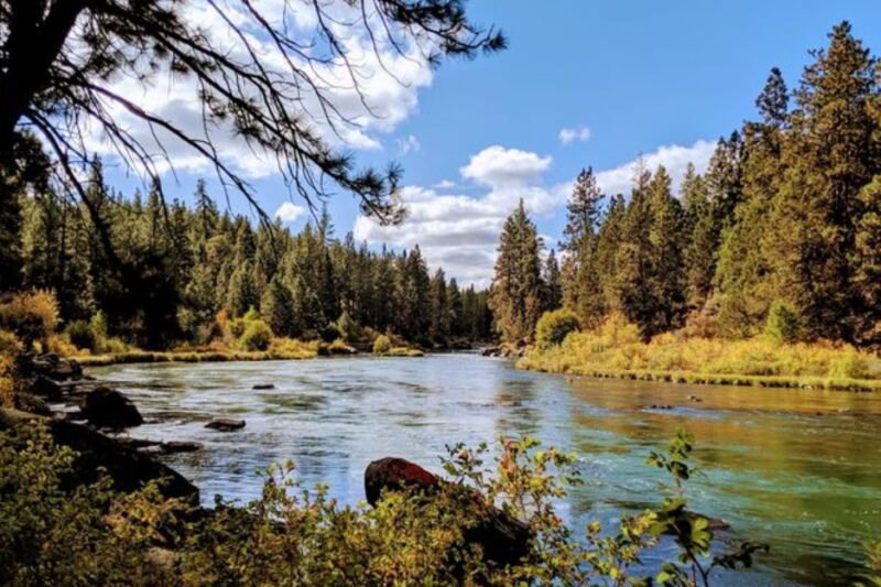 12 Reasons So Many Families Are Packing Up and Moving to Oregon Right Now