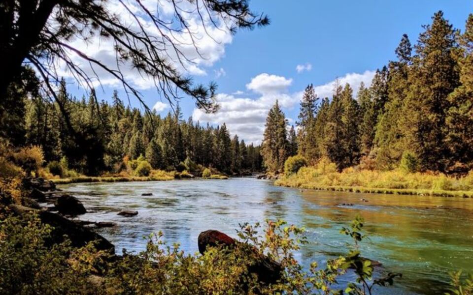 12 Reasons So Many Families Are Packing Up and Moving to Oregon Right Now