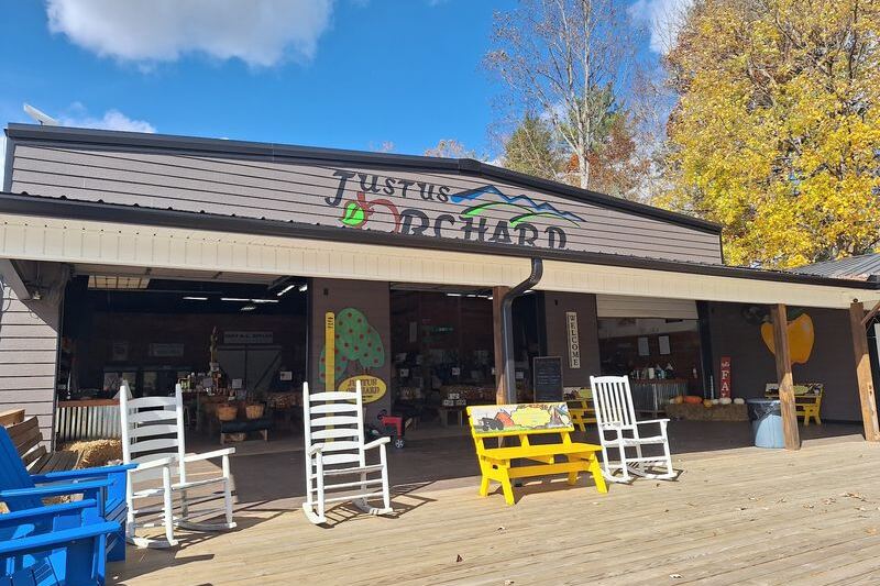 This North Carolina Orchard Lets You Fill A Basket With Late-Season Apples Before The Frost