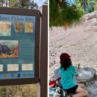 This Arizona Fossil Spot Lets You Hunt Ancient Seashells Hundreds Of Miles From Any Ocean