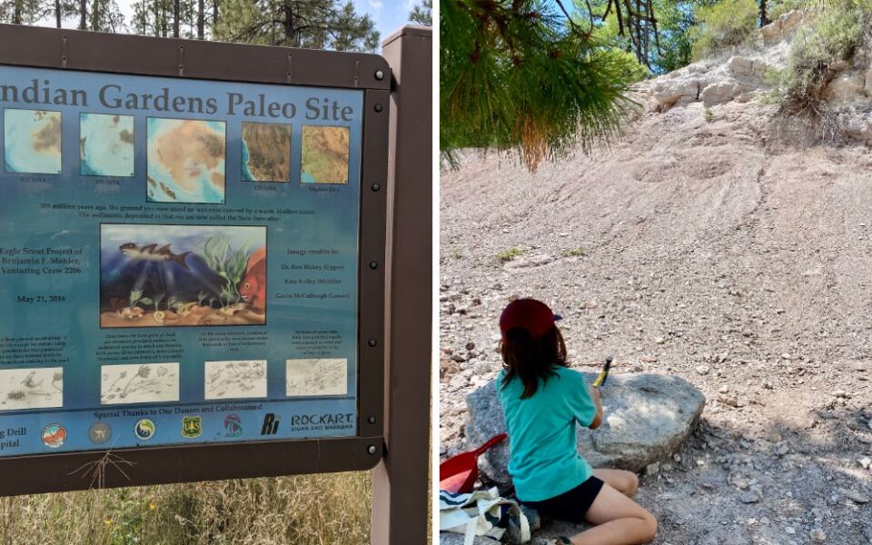 This Arizona Fossil Spot Lets You Hunt Ancient Seashells Hundreds Of Miles From Any Ocean