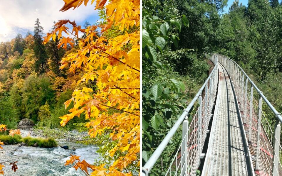 This Oregon Trail Is Only 2.8 Miles Long, but It Takes You Decades Into the Past