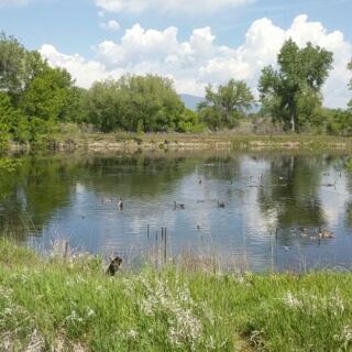 This Two-Mile Colorado Boardwalk Through A Quiet Bird Sanctuary Is Hiding Right Off The Road