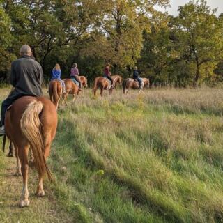 Your First Trail Ride Feels Unforgettable at This Minnesota Horse Farm