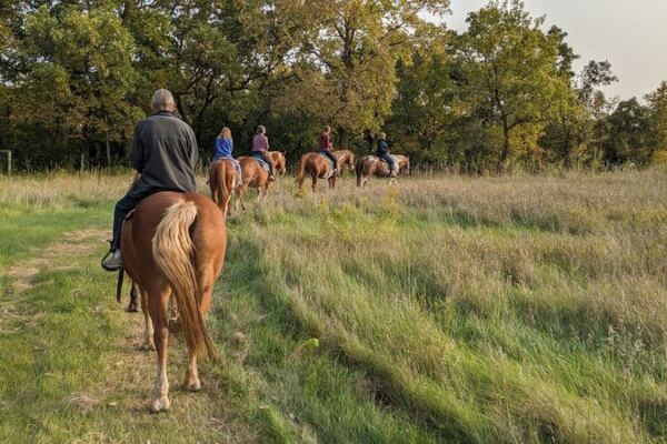 Your First Trail Ride Feels Unforgettable at This Minnesota Horse Farm