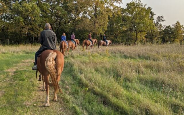 Your First Trail Ride Feels Unforgettable at This Minnesota Horse Farm
