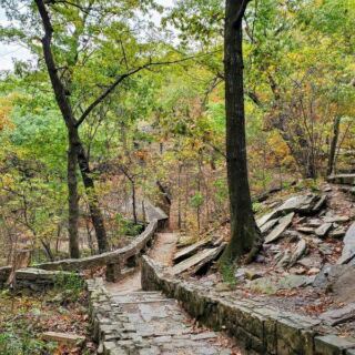 Deep In An Oklahoma Forest, This Trail Ends At Stone Carvings Nobody Has Ever Explained