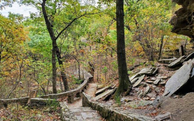 Deep In An Oklahoma Forest, This Trail Ends At Stone Carvings Nobody Has Ever Explained