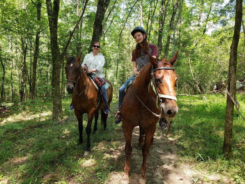 North Carolina Has A Mountain Farm Where Gentle Draft Horses Carry You Down The Trail