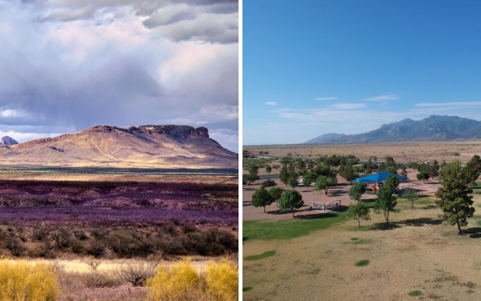 The Arizona Town Birders Call America’s Hummingbird Capital Is Worth Planning A Weekend Around