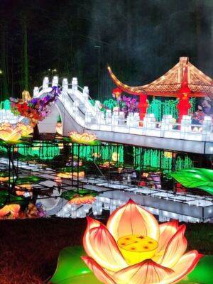 This North Carolina Lantern Festival Lights Up 14 Lakeside Acres With Glowing Dragons