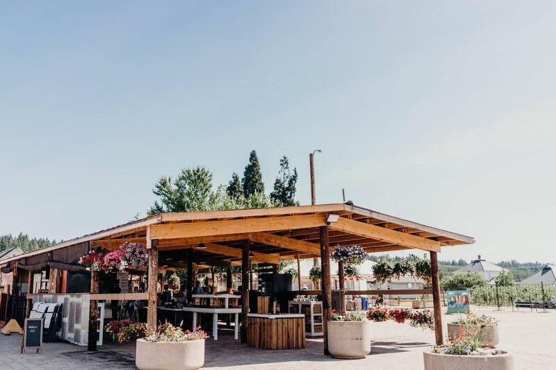 This Oregon Berry Farm Charges Just $5 to Pick, and You Eat All You Want in the Rows