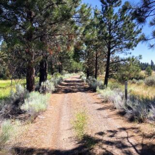This Oregon Rail Trail Runs 110 Miles Past Forgotten Towns the Trains Left Behind
