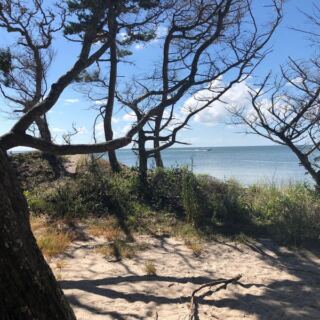 North Carolina Has A Secluded Beach You Only Reach After A 1-Mile Walk Through Live Oaks