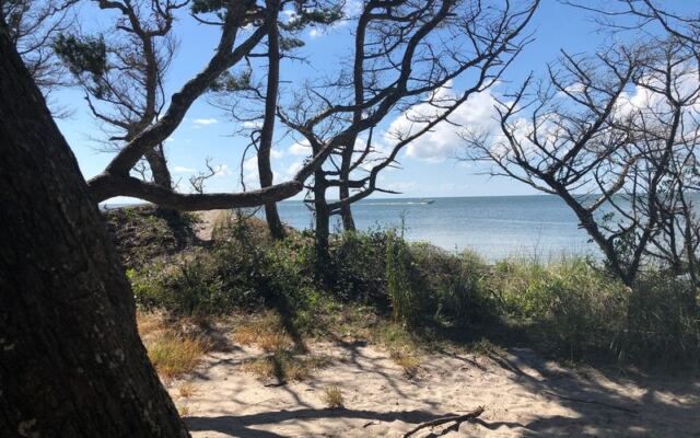 North Carolina Has A Secluded Beach You Only Reach After A 1-Mile Walk Through Live Oaks