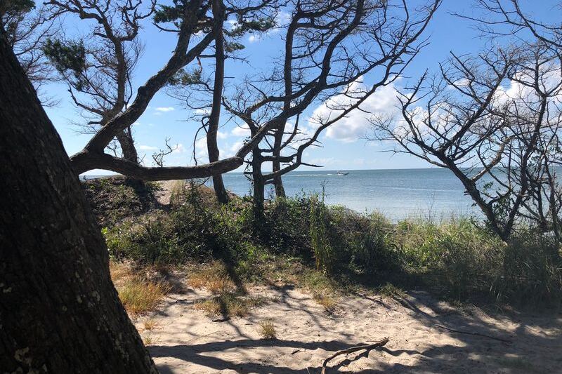 North Carolina Has A Secluded Beach You Only Reach After A 1-Mile Walk Through Live Oaks