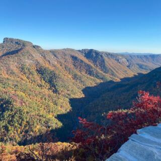 North Carolina Has Its Own Grand Canyon And You Reach The View In Under Half A Mile