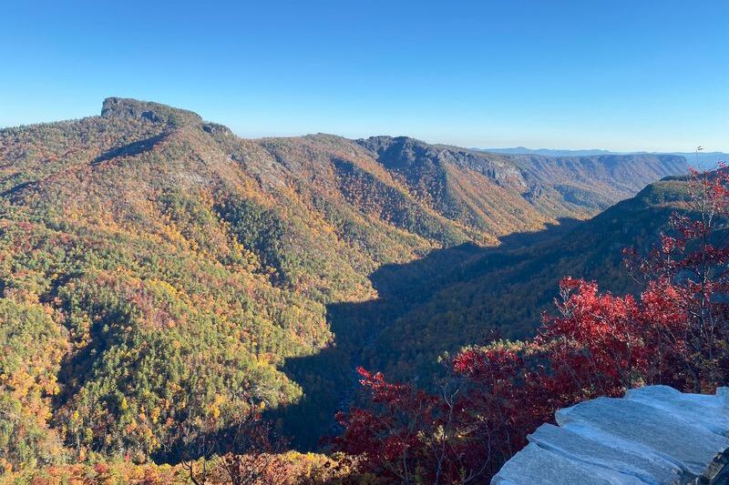 North Carolina Has Its Own Grand Canyon And You Reach The View In Under Half A Mile