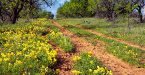 Forget Fredericksburg, This Nearby Texas Town Might Be Even More Charming