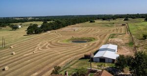 Forget Supermarket Meat, This Texas Farm Offers Something Worth the Drive