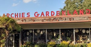 Garden Lovers Could Spend Hours Inside This Texas Pottery Warehouse