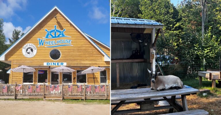 Goats and a Saloon Share the Spotlight at This Michigan Upper Peninsula Diner