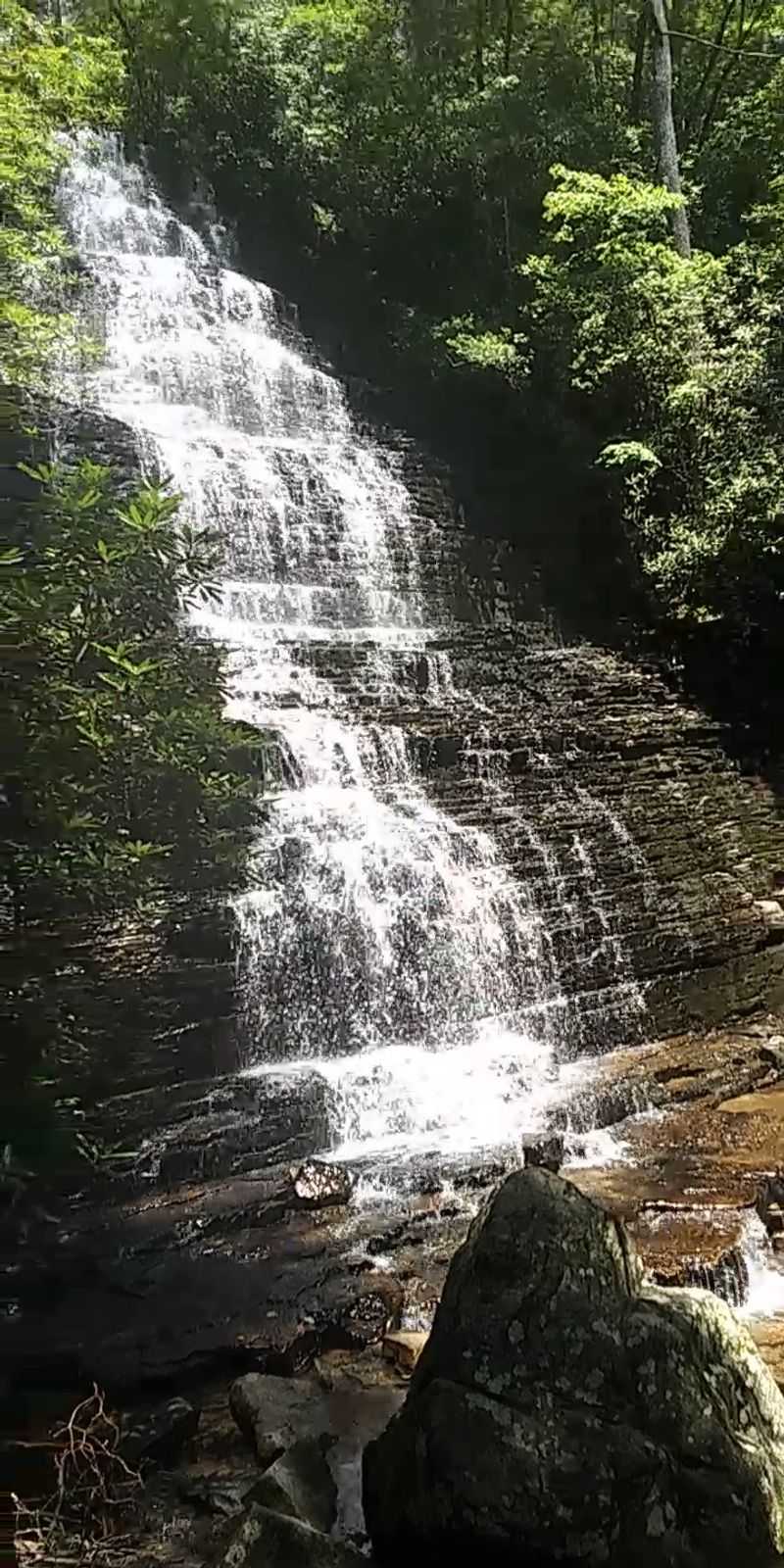 Follow Nearby Trails Through The Cherokee National Forest Follow Nearby Trails Through The Cherokee National Forest