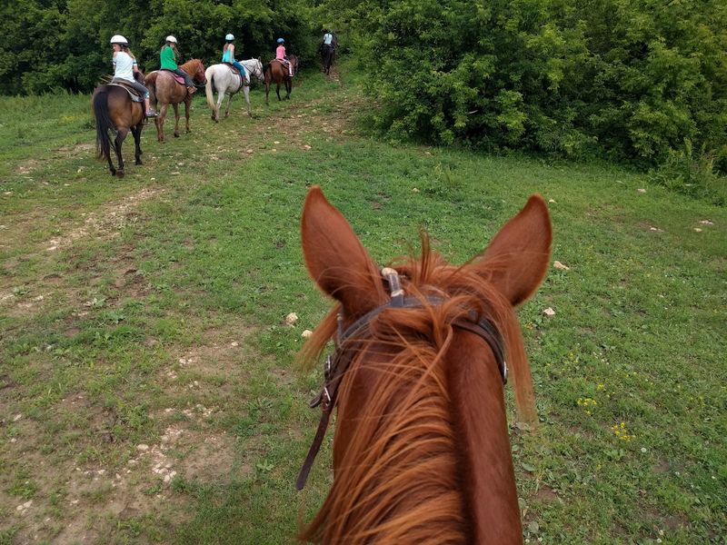 White Pines Ranch
