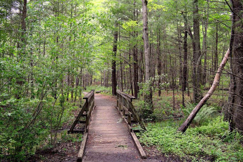 Gentle Terrain Makes The Route Manageable For Families