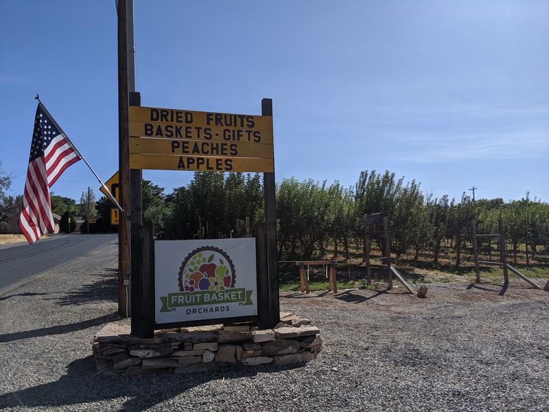 Why a Small Grand Junction Orchard Beats the Grocery Aisle Why a Small Grand Junction Orchard Beats the Grocery Aisle