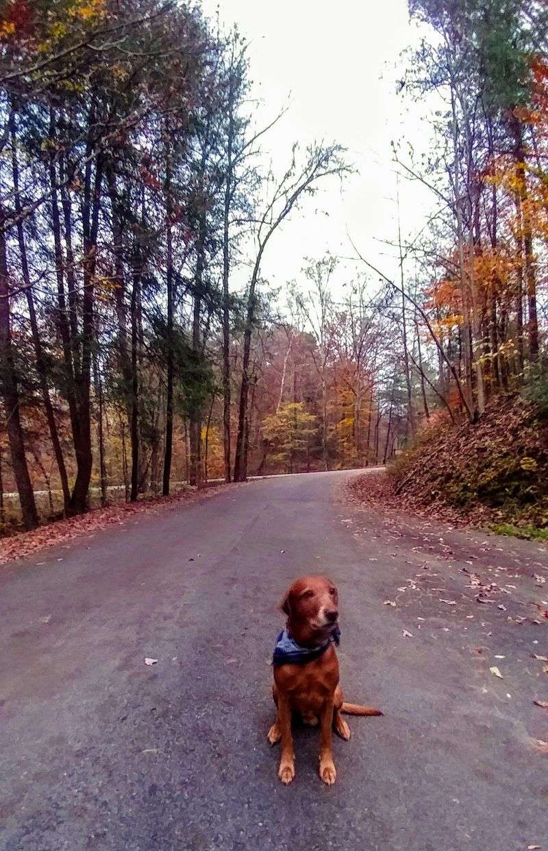 When To Catch The Best Fall Color Near Benton When To Catch The Best Fall Color Near Benton