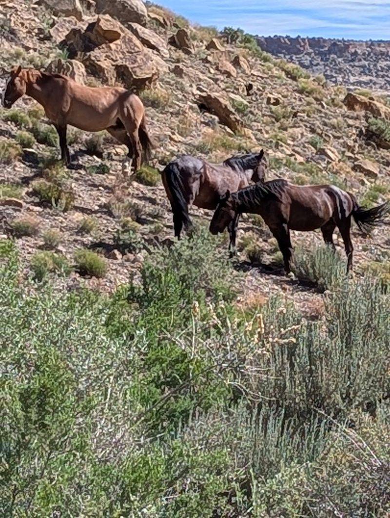Finding the Trailheads Without Getting Lost