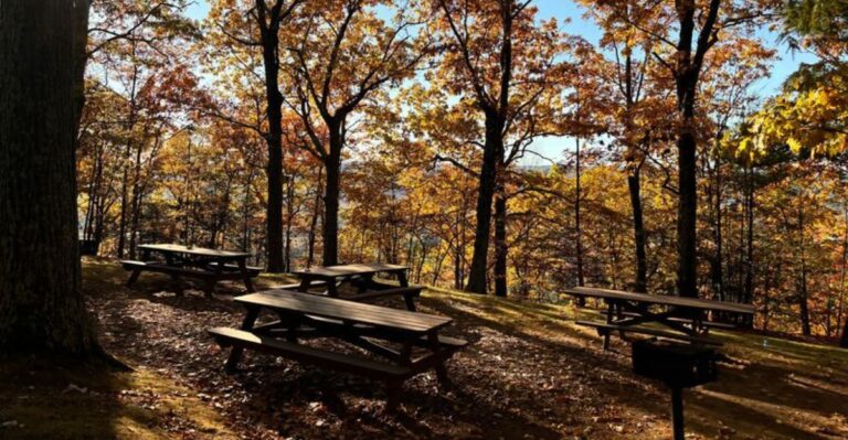 Locals Wait For Peak Fall Color To Take These 15 Massachusetts Hikes