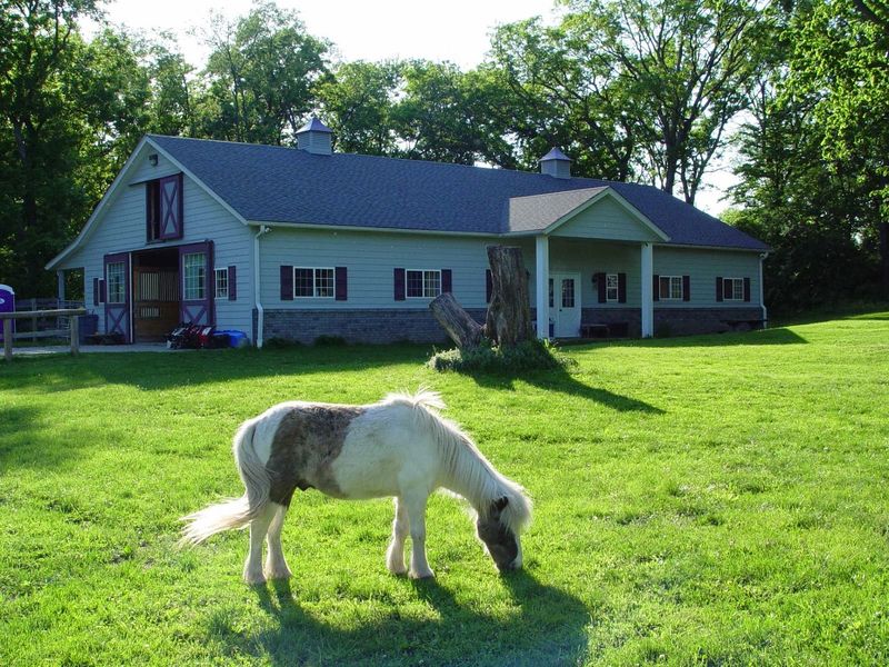 Pastures, Fences, and a Whole Lot of Quiet in Tower Lakes
