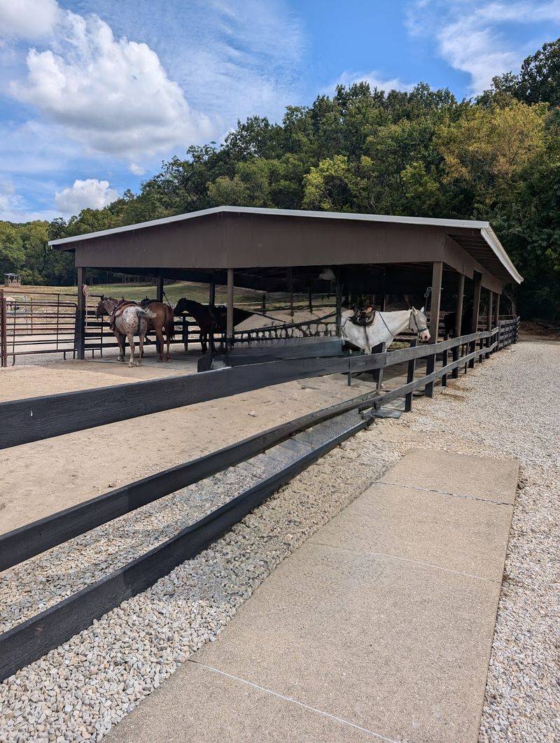 Pere Marquette Riding Stables