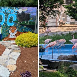 Meet Some Truly Fascinating Animals At This One-Of-A-Kind Massachusetts Zoo
