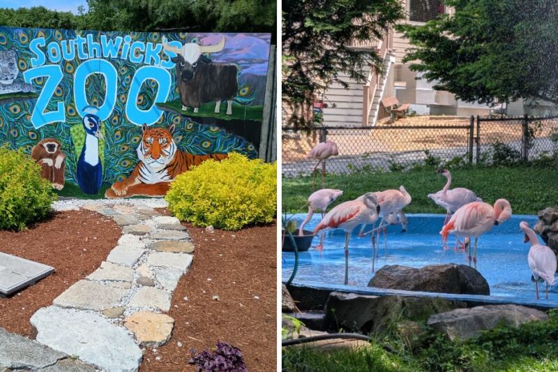 Meet Some Truly Fascinating Animals At This One-Of-A-Kind Massachusetts Zoo