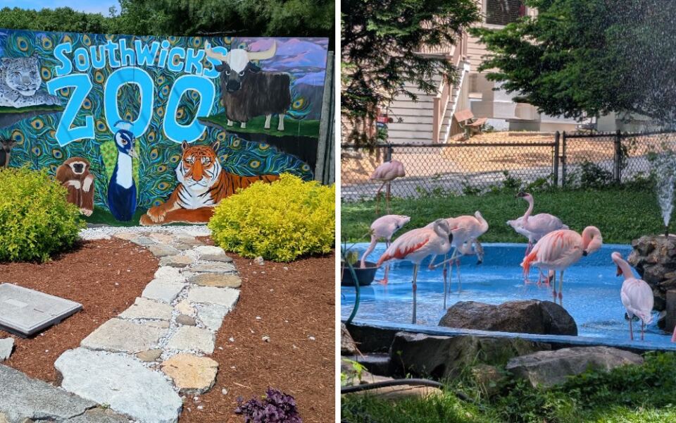 Meet Some Truly Fascinating Animals At This One-Of-A-Kind Massachusetts Zoo