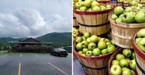 National Recognition Puts This Tennessee Apple Orchard On Every Fall Road-Trip List