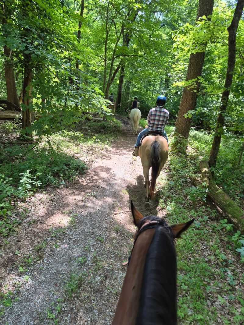 Giant City Stables LLc & Giant City Stables Therapeutic Riding Services NFP 501(c)(3)