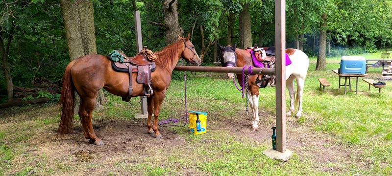 Saddle Up Across the Road for a Different View Saddle Up Across the Road for a Different View