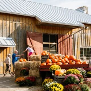 Ohio Families Love This Old-School Cider Mill For Its Warm Donuts And Fresh Cider